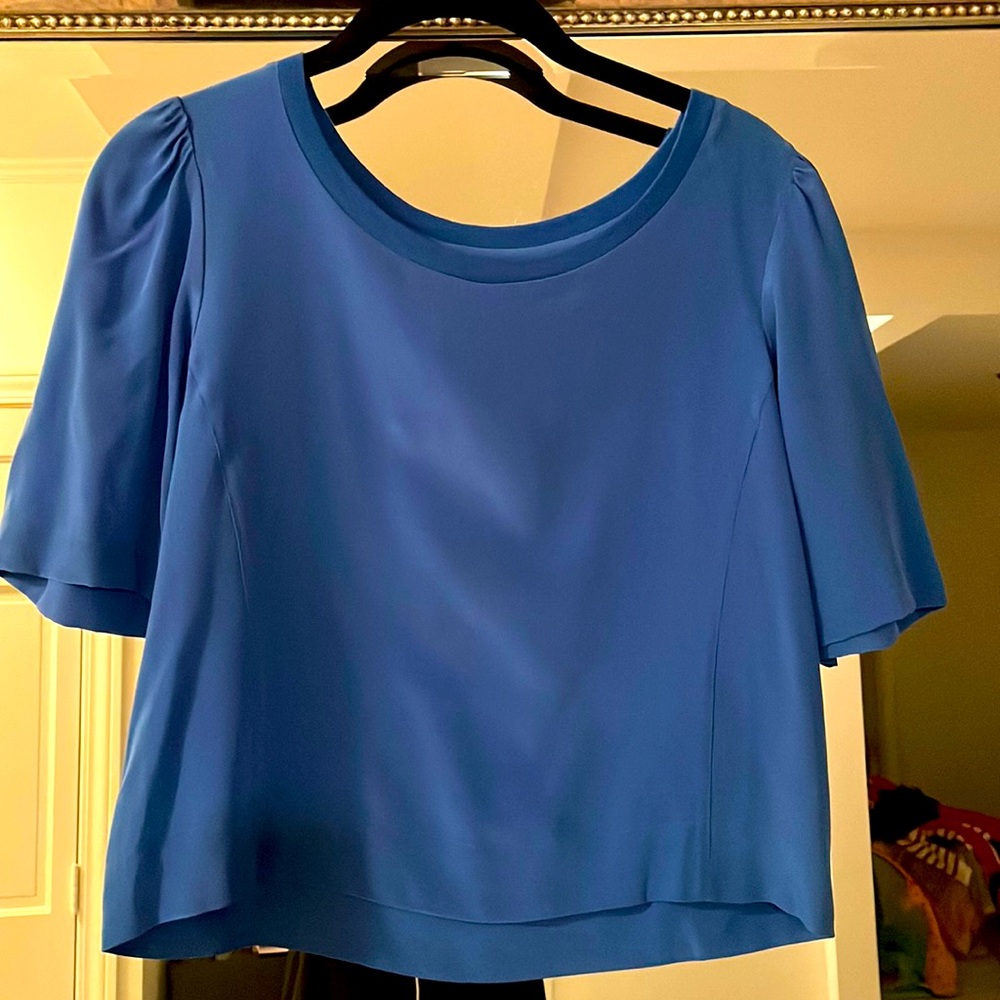 Pjk Patterson J Kincaid Electric blue shirt sleeve 100% silk top